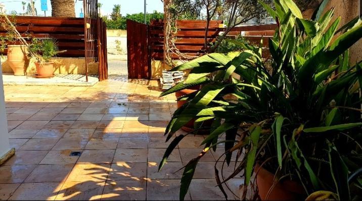 Palm Beach Apartment Βορόκλινη Εξωτερικό φωτογραφία